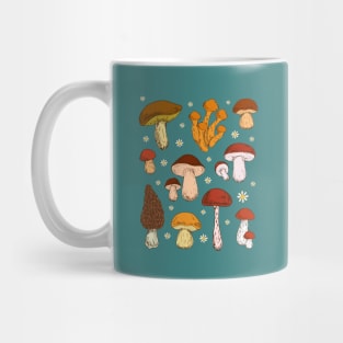 Fantastic Fungi, Wonderful World of Mushrooms Mug